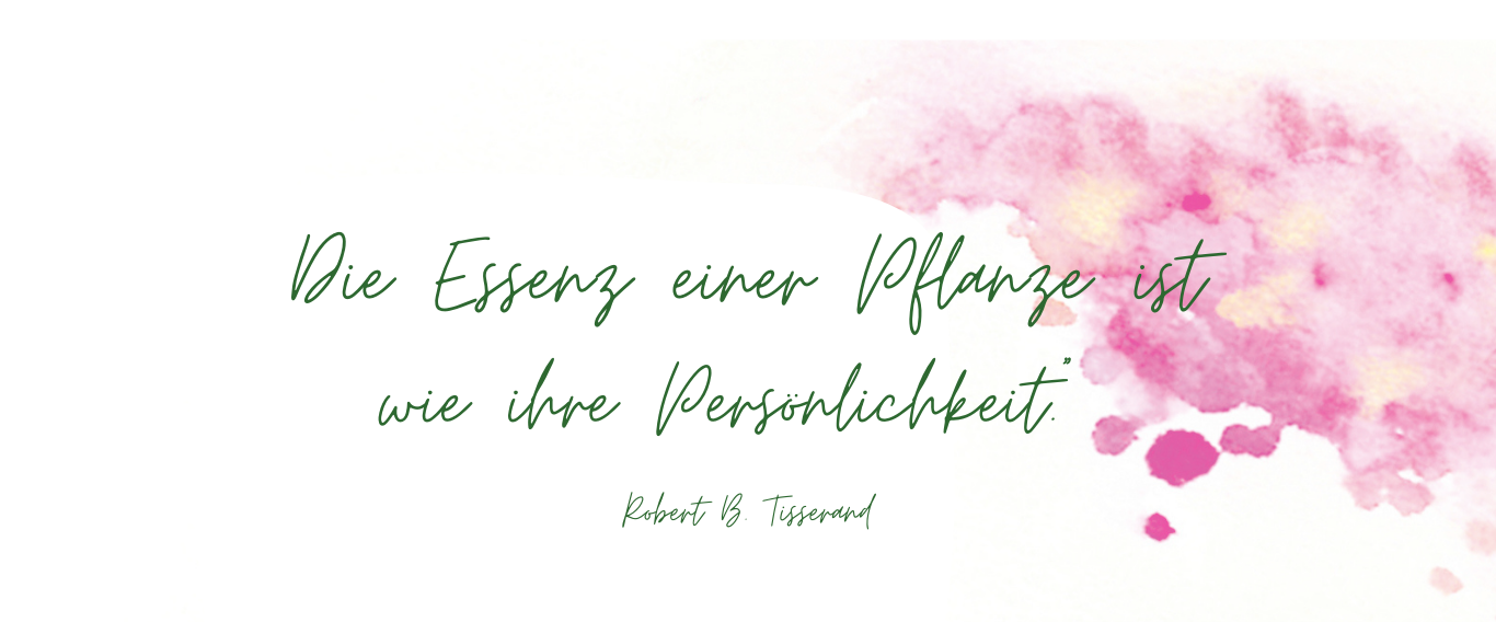 Feinstoffliche Aromatherapie - fleuresprit